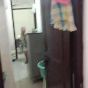 1 Bhk flat for sale in mansa ram park C block